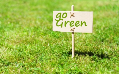 Why Go Green