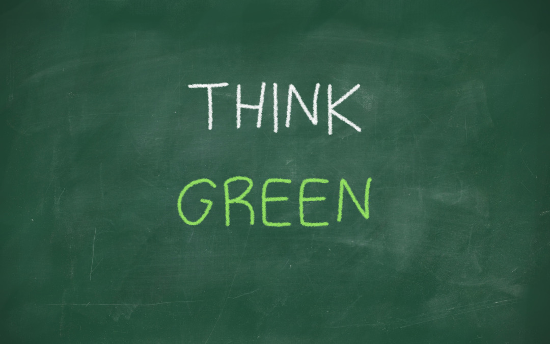 10 Green Facts to Test Your Eco-Smarts