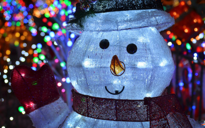 LED Holiday Lights: 6 Need-to-Know Tips