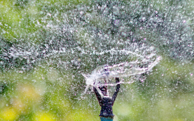 Guide to Buying and Installing a Sprinkler System