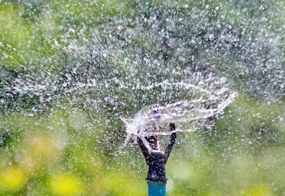 Guide to Buying and Installing a Sprinkler System