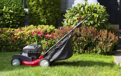 Winter Lawn Care: 4 Steps to Protect Your Turf