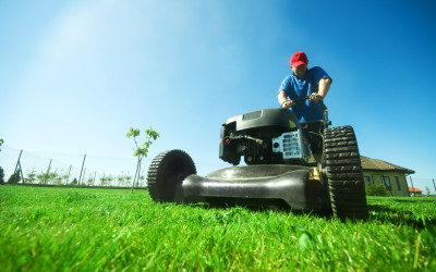 Season-by-Season Lawn Maintenance Calendar