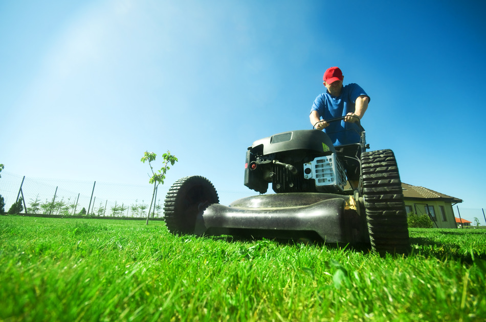 Season-by-Season Lawn Maintenance Calendar