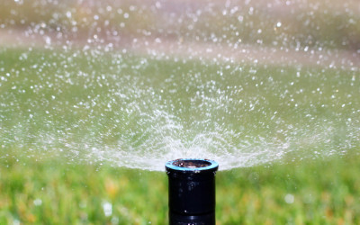 Guide to Buying and Installing a Sprinkler System