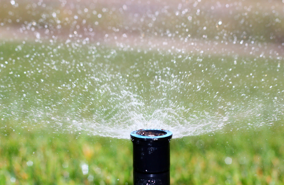 Guide to Buying and Installing a Sprinkler System