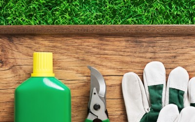 Do Organic Home Remedies for Lawn Care Work?