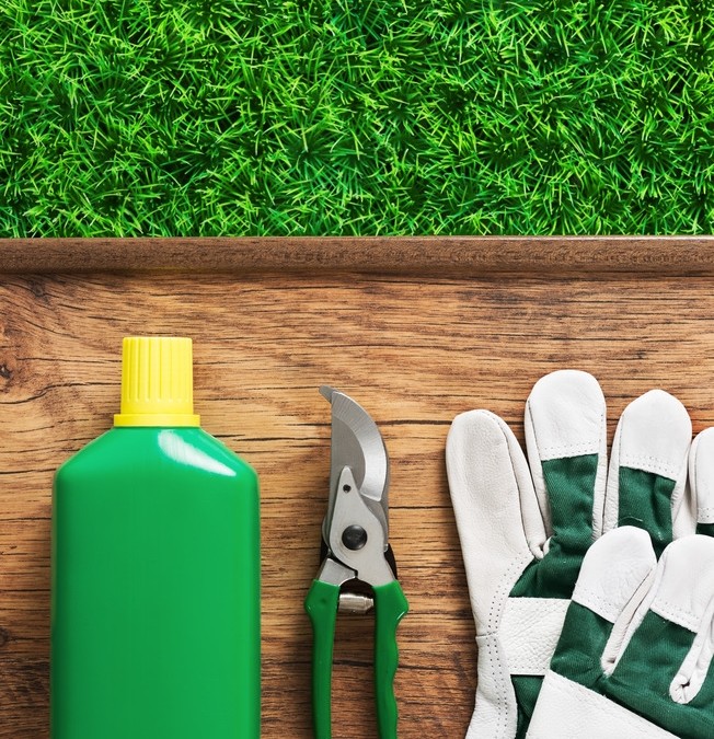 Do Organic Home Remedies for Lawn Care Work?