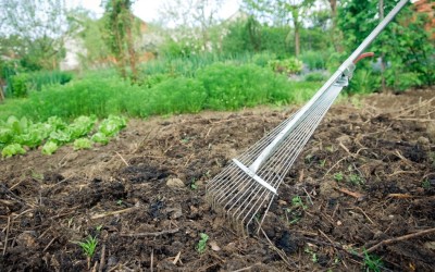 Make Your Own Inexpensive Garden Fertilizer