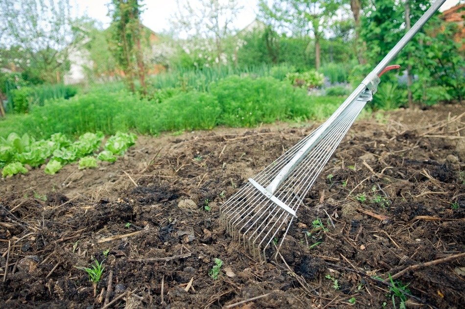 Make Your Own Inexpensive Garden Fertilizer