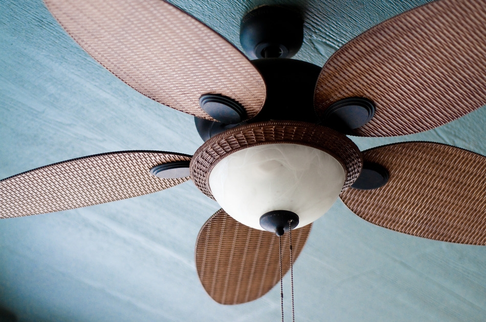 Which Way Should Your Ceiling Fan Turn in Summer? The Cool Way!